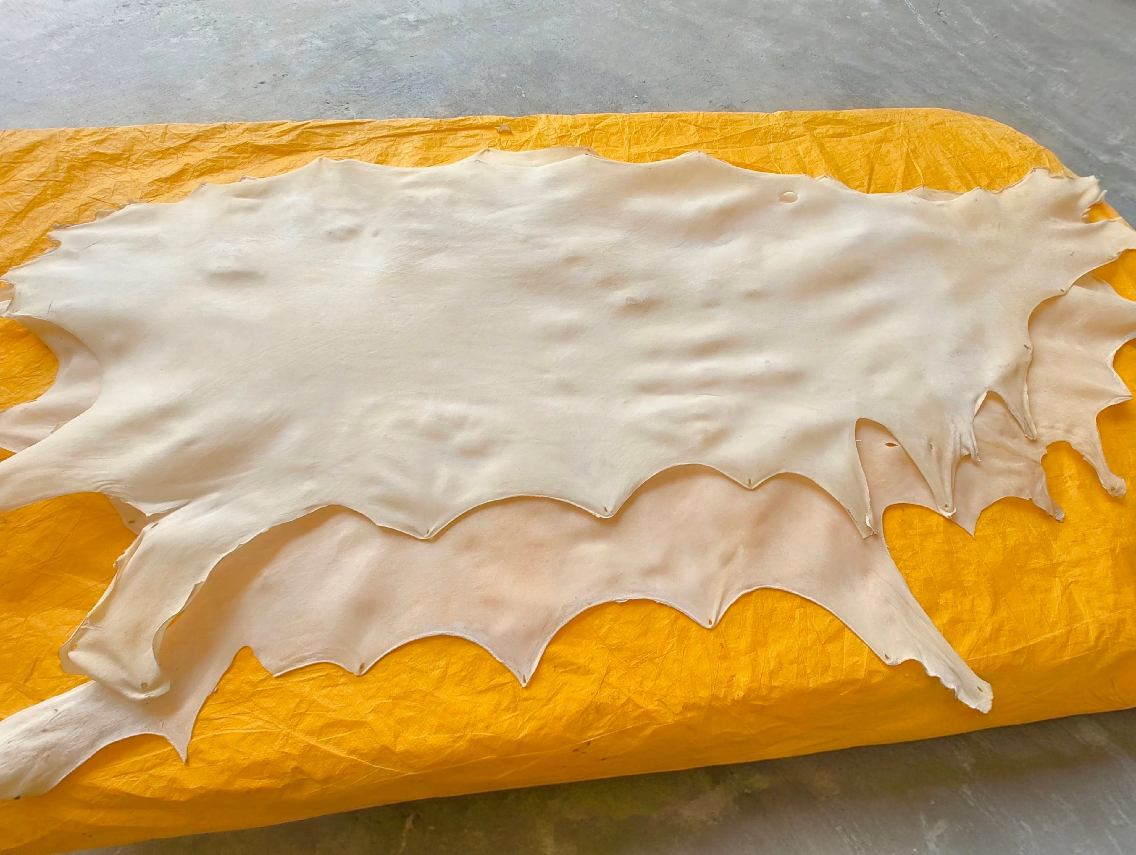 Processed bovine hide material presented for pet-chew production