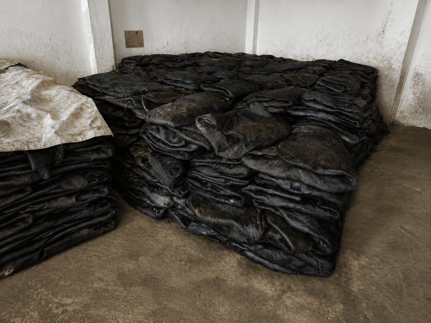 Bovine hides in the NAW Tanners material handling area