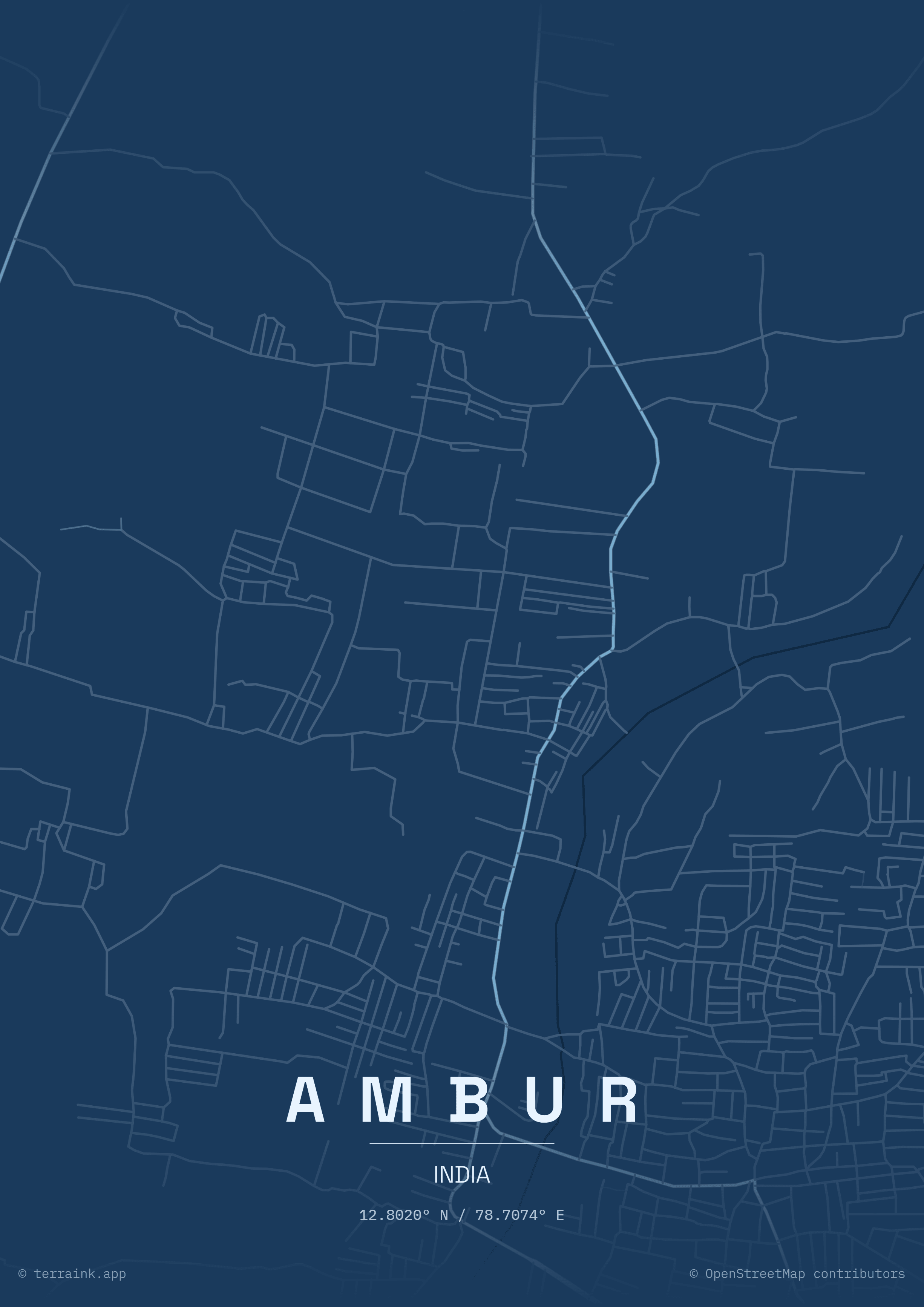 Location graphic identifying Ambur, Tamil Nadu